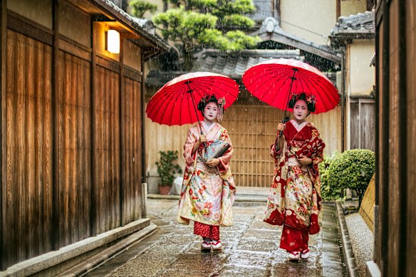 Apprentice geisha (maiko) in their traditional kimonos.