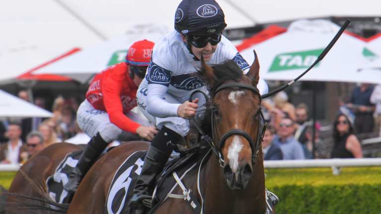 Staying in Sydney: Time To Reign wins under Rachel King.