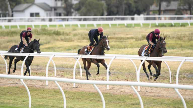 Irish horses Spirit Of Valor, Fleet Review and Intelligence Cross train at Werribee last week.