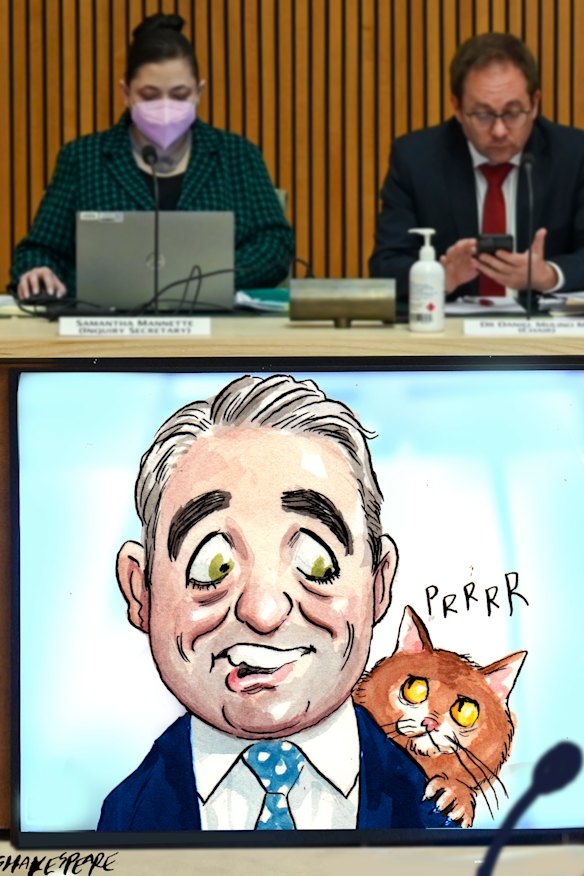 Matt Comyn, stricken with COVID, chose to front a parliamentary inquiry from home.