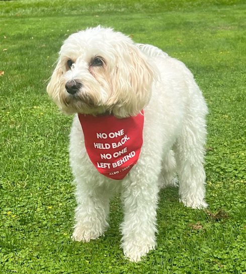 Anthony Albanese’s dog, Toto.