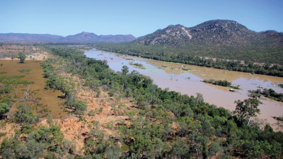 Planting projects along the Burdekin River have reduced the amount of silt being dumped on to the Great Barrier Reef.