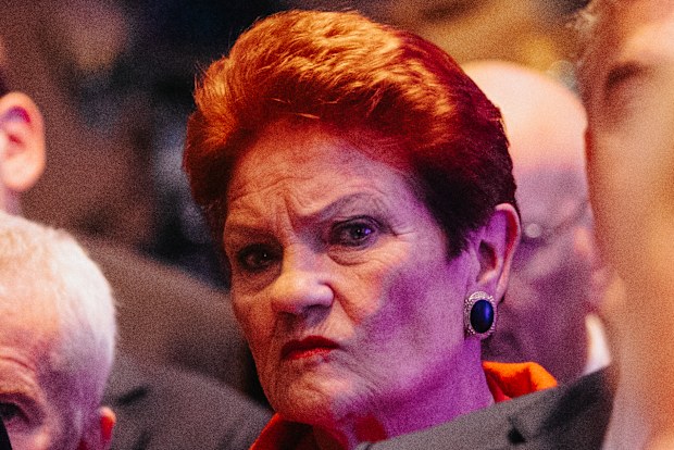 Pauline Hanson: Why her recent comments on monoculture and language have  caused a political backlash