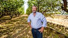 Peter Cavallaro at Walker Flat. He said rising prices were a boon to the industry, as Californian growers were locked out of China.