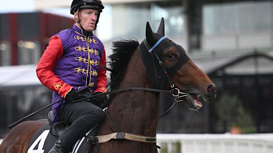 Gilded Water with Mark Zahra on board.