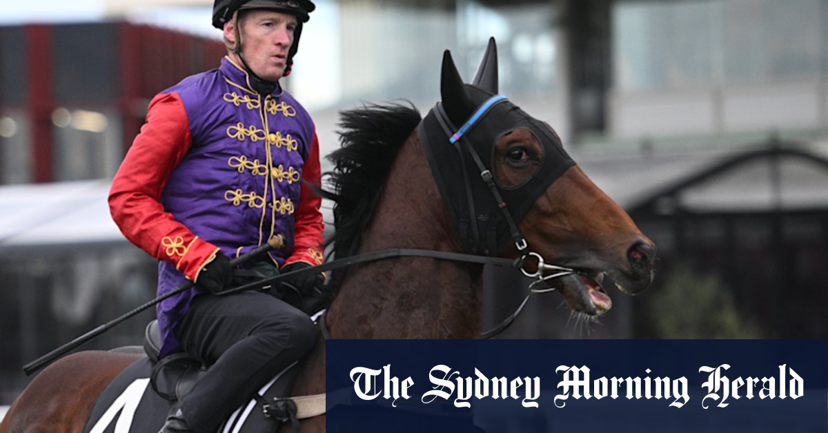 King’s horse forced to wait for Melbourne Cup golden ticket bid as patrons evacuated in Geelong
