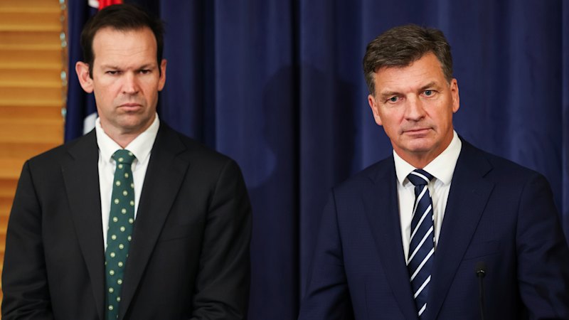 Hardline free-speech campaigners urge Coalition to block Labor social media plan