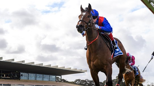 Cox Plate favourite Zaaki has drawn barrier six.