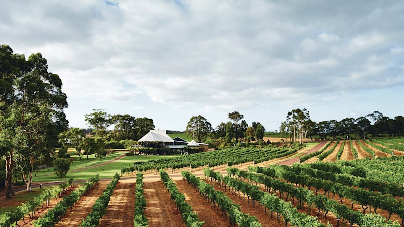 This Aussie wine region is outstanding, even if you don’t drink (australia) — SMH
