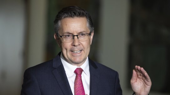 Health Minister Mark Butler.