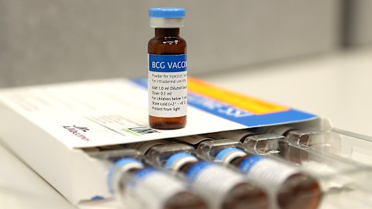 Vials of the BCG vaccine.
