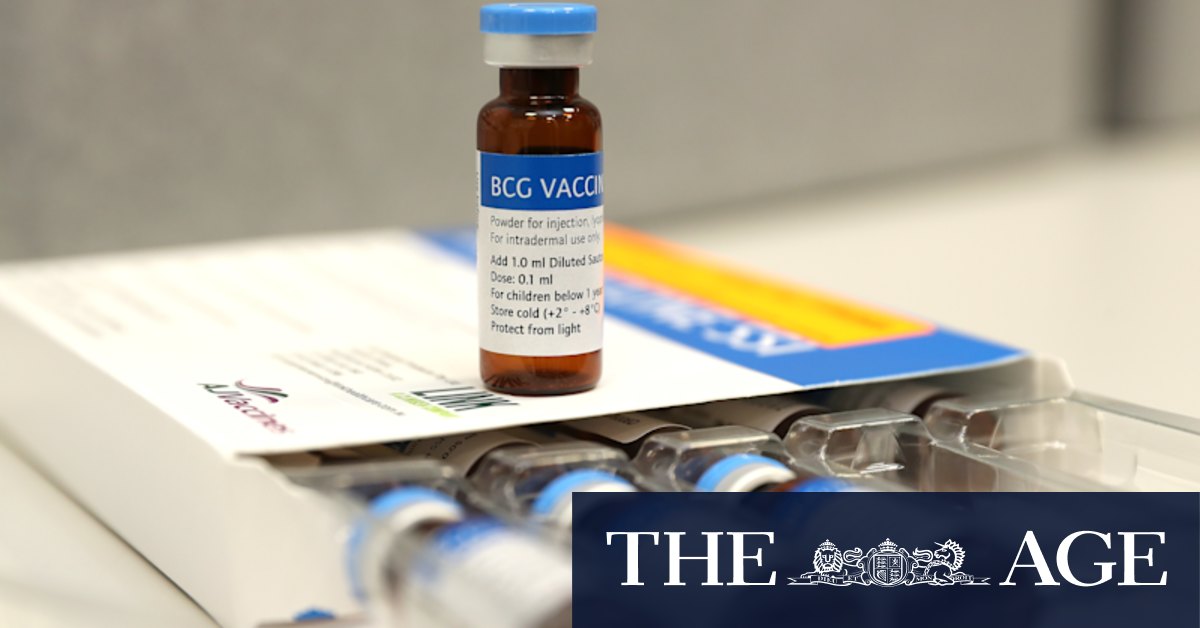Why a century-old vaccine could offer a new hope against pathogens - Vimarsana News