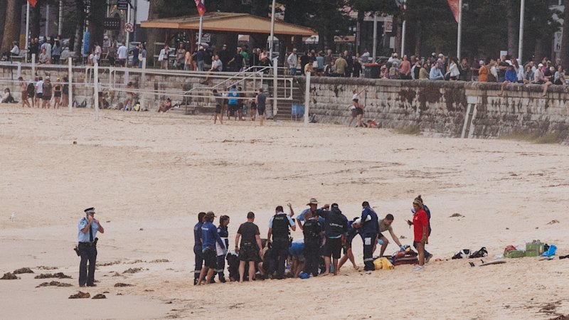 Man critical after Manly shark attack; third Sydney attack in two days
