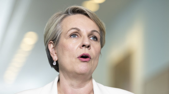 Federal Environment Minister Tanya Plibersek.