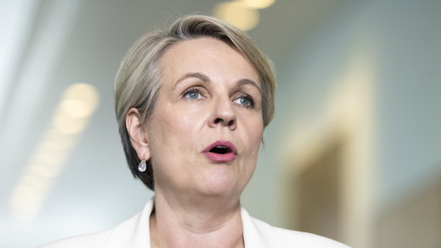 Plibersek prepared to step in if fashion industry doesn’t step up on recycling