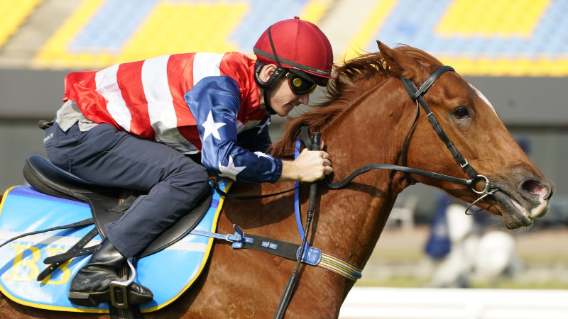 Race By Race Tips And Preview For Bathurst On Monday When they blossem a nest a bees will the following trick requires the harvest basket and the final rucksack. sydney morning herald