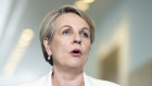 Environment Minister Tanya Plibersek has received support from Liberal senator Jonno Duniam in blocking approval for an offshore wind terminal in Victoria due to environment protection concerns.