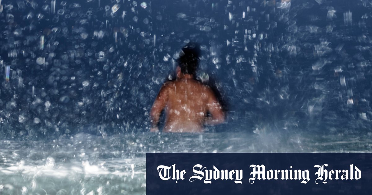 NSW weather: Wettest summer for Sydney in 30 years marked by humid nights and marine heatwaves - Vimarsana News