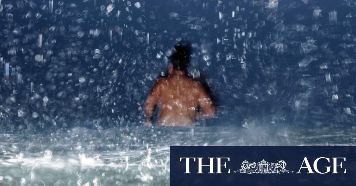 NSW weather: Wettest summer for Sydney in 30 years marked by humid nights and marine heatwaves - Vimarsana News