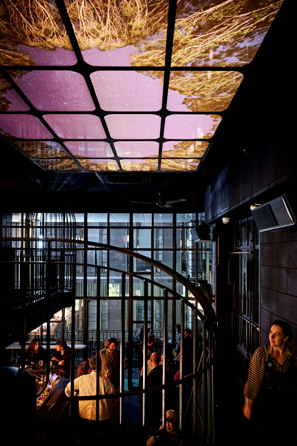 The ceiling has become a focal point, with illuminated photos of a forest at night.