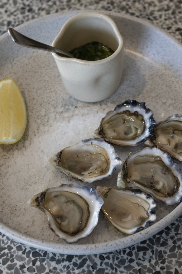 Freshly shucked Sydney rock oysters.