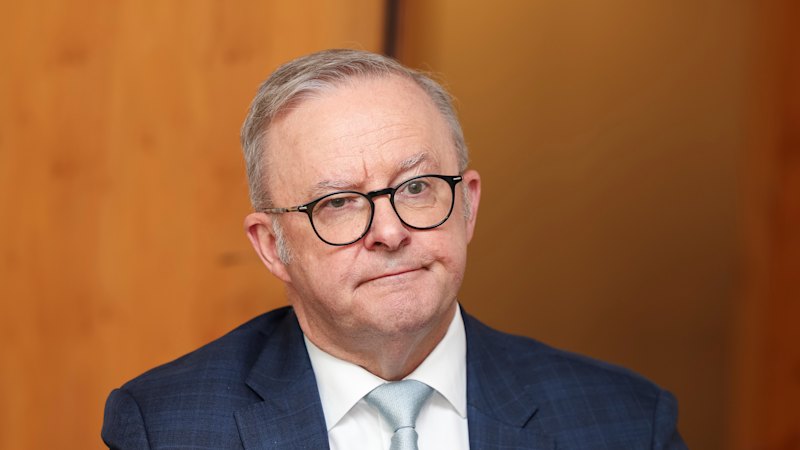 Australia news LIVE: Albanese announces Richard Scolyer chair; Carr, Andrews draw criticism for joining Kim Jong-un, Putin in attending Beijing parade