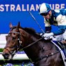 Race-by-race preview and tips for Saturday’s meeting at Randwick