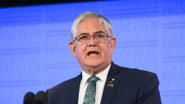 Minister for Indigenous Australians Ken Wyatt speaks at the National Press Club.
