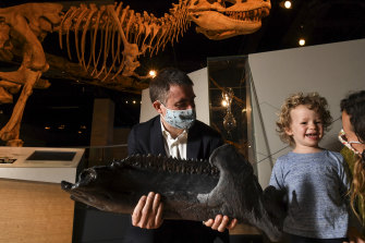 Victoria Museum paleontologist Dr Erich Fitzgerald shows Avery Fitzgerald, 3, of Eltham, a replica of the mandible of the recently acquired nearly complete adult triceratops fossil.