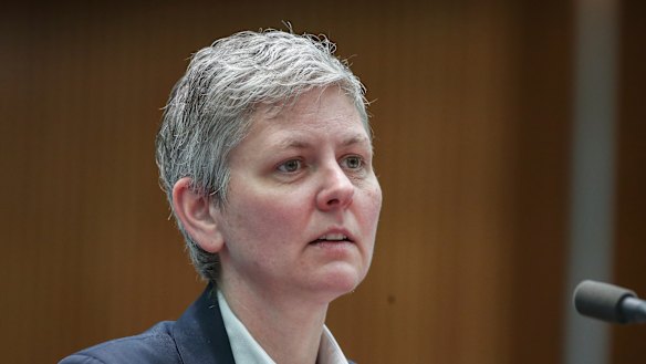 RBA assistant governor Luci Ellis says it will take longer than hoped for the nation's jobs market to recover from the coronavirus recession.