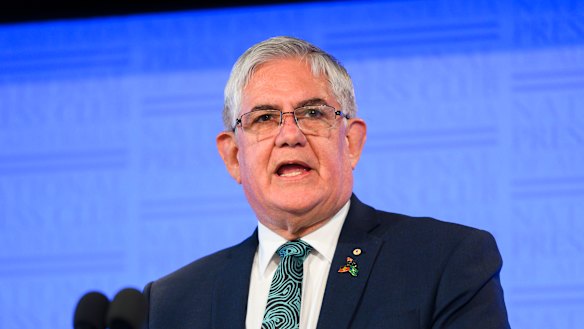 Minister for Indigenous Australians Ken Wyatt speaks at the National Press Club.