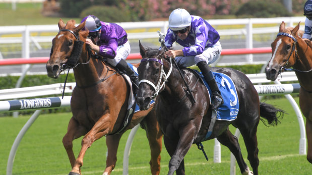 Son of a gun: Hugh Bowman rides Accession to victory in the Inglis Nursery.