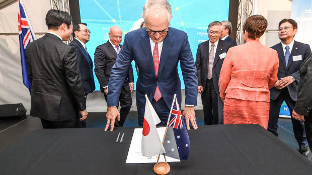 Malcolm Turnbull  says brown coal might one day keep the lights on in Japan. 