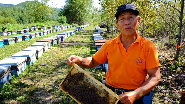 Li Chengfan, 69, has been a beekeeper for almost 50 years.