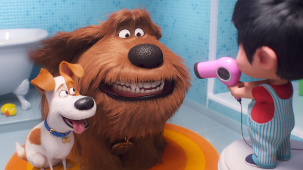 Max the terrier (voiced by Patton Oswalt), Duke (Eric Stonestreet) and Liam (Henry Lynch) in The Secret Life of Pets 2.