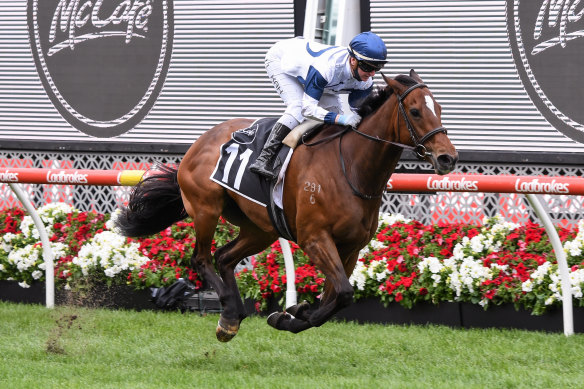 Miami Bound and Jamie Kah won the Moonee Valley Gold Cup earlier this month. 