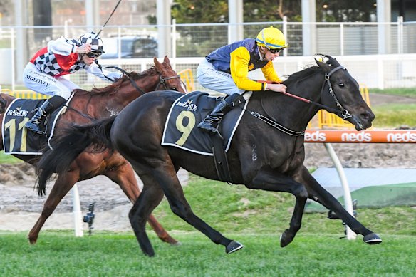 Begg believes Cardinal Gem will swoop on the Golden Eagle