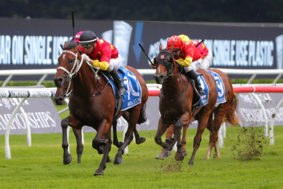 Militarize careers away with the Sires Produce Stakes at Randwick last year.