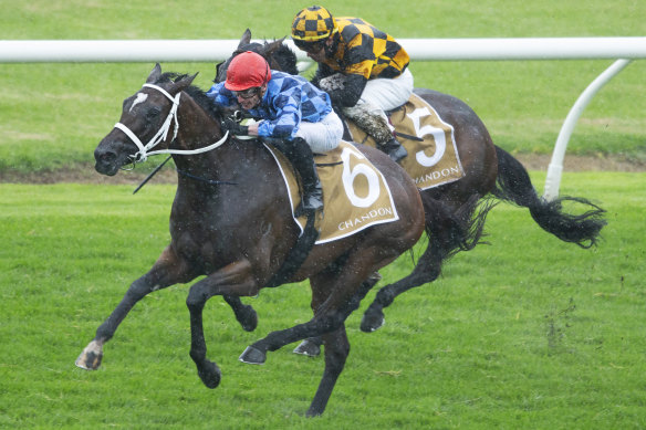 Golden Eagle favourite Funstar wins the Phar Lap Stakes at Rosehill in March.