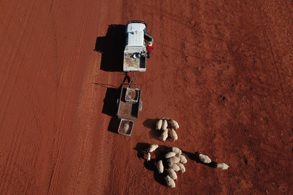 There are some positive signs in the government's draft climate change plan, but it falls short of serious action.