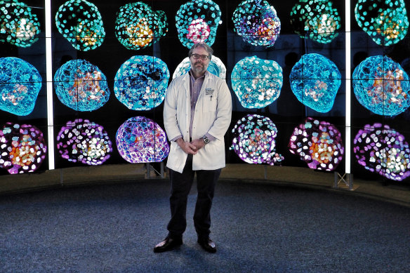 Professor Jose Polo in front of images of model embryos.