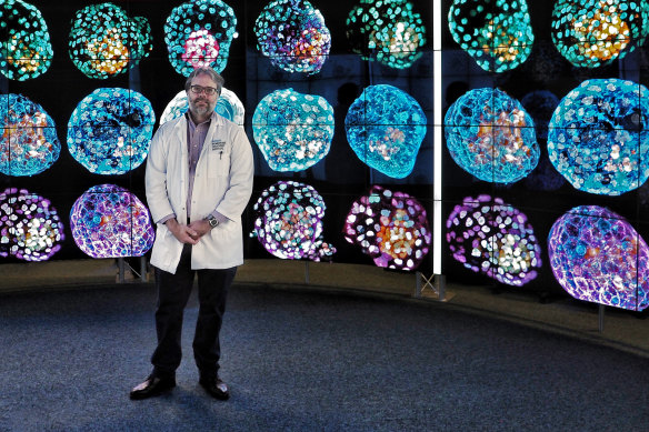 Professor Jose Polo in front of images of his model embryos.