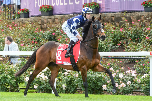 Young Werther and Damian Lane before the Cox Plate. 