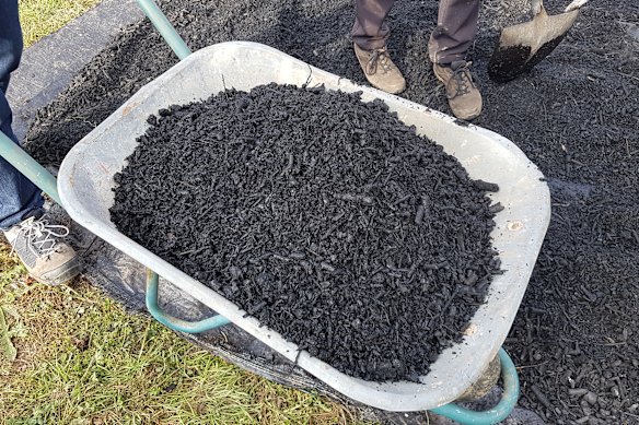 A wheelbarrow of biochar.