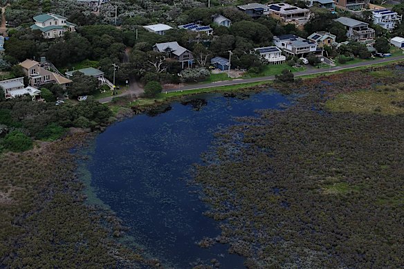 A swollen Thompson Creek at Breamlea last week. 