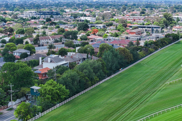 Established trees along the eastern boundary of the Caulfield racecourse that are slated to be cut down for a shared bike and pedestrian path.