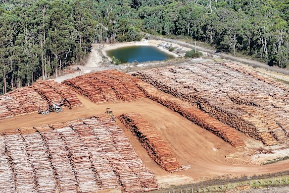 One of three ecological thinning stockpiles in WA’s South West.