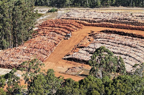 One of three ecological thinning stockpiles in WA’s South West.