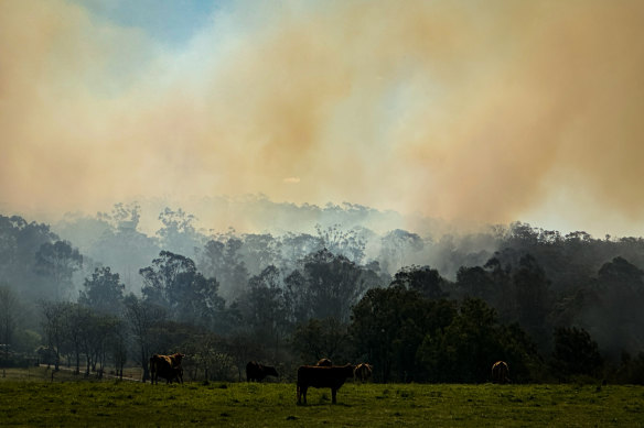 Bushfire smoke rises in Sydney as the Bureau of Meteorology warns of hot, dry conditions brought by El Nino.