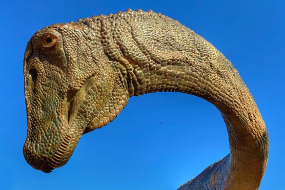 A statue of Diamantinasaurus at the Australian Age of Dinosaurs museum at Winton.